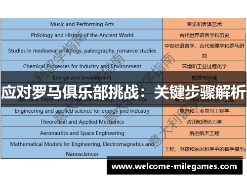 应对罗马俱乐部挑战：关键步骤解析