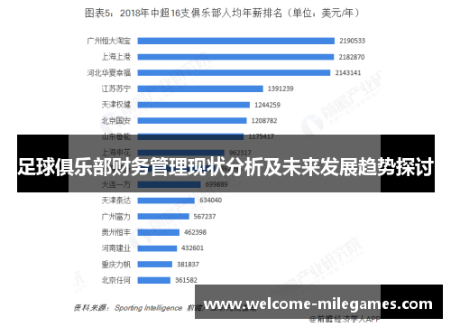 足球俱乐部财务管理现状分析及未来发展趋势探讨