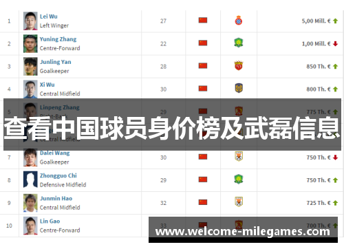 查看中国球员身价榜及武磊信息