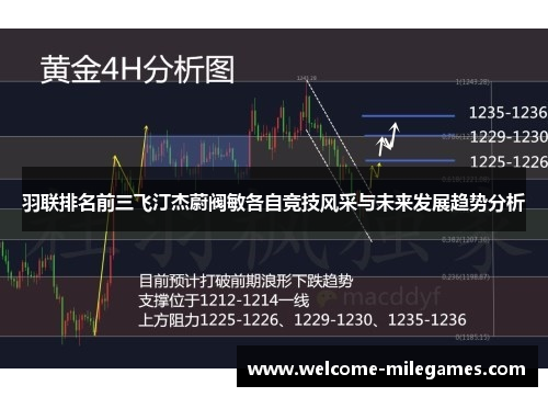 羽联排名前三飞汀杰蔚阀敏各自竞技风采与未来发展趋势分析