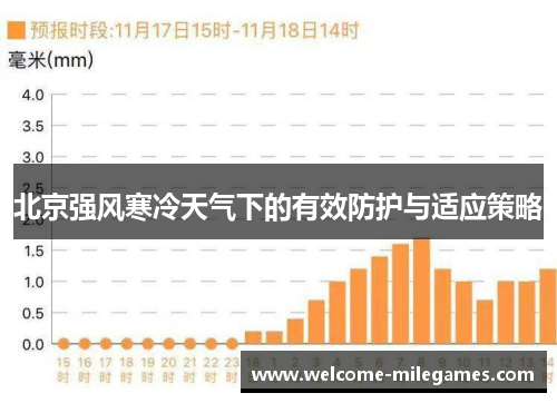 北京强风寒冷天气下的有效防护与适应策略