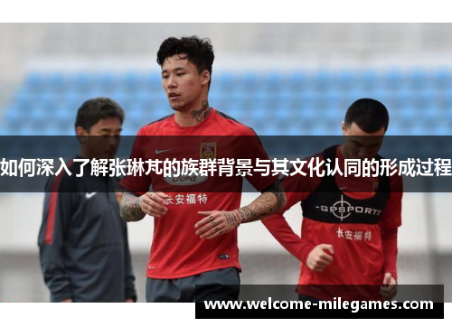 如何深入了解张琳芃的族群背景与其文化认同的形成过程